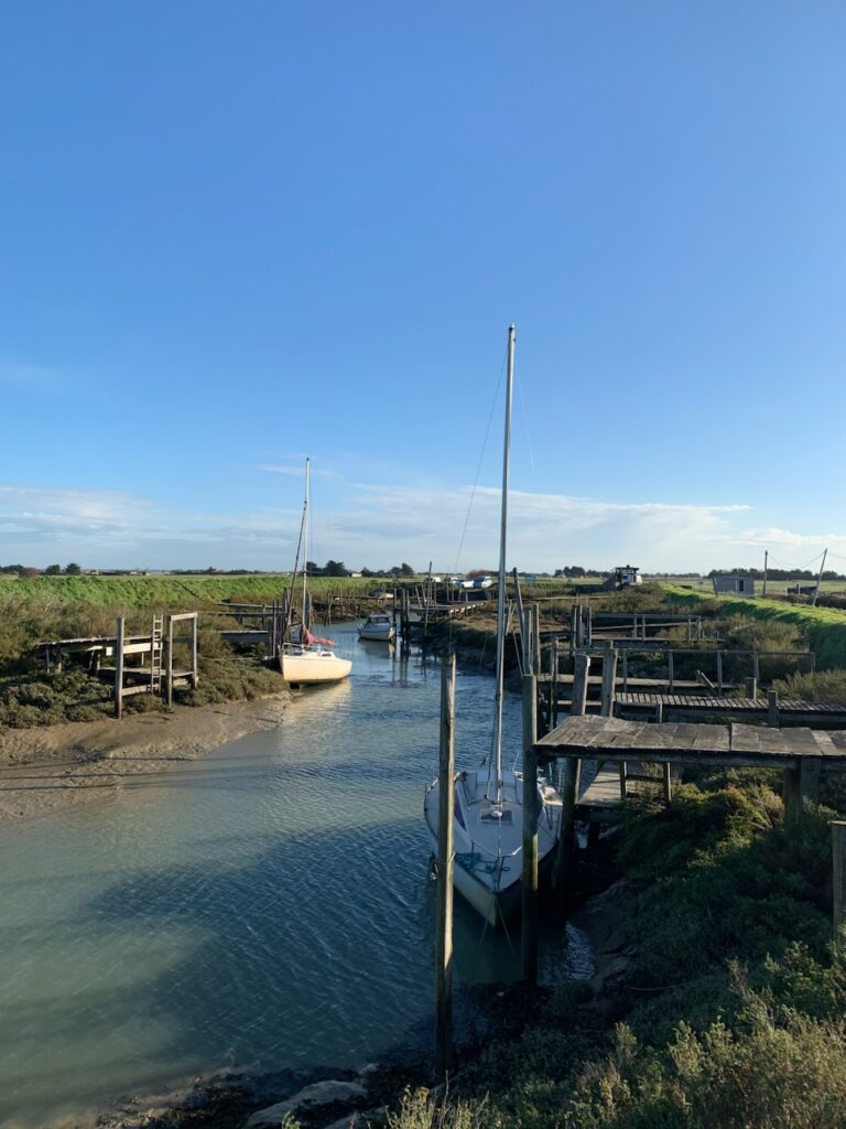 paysage-promenade-nature-bouin