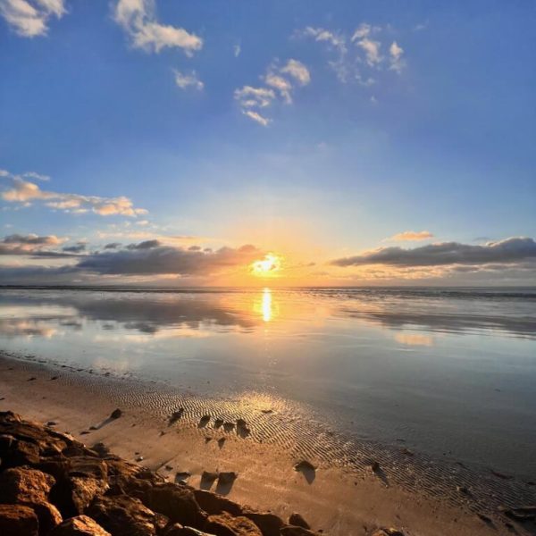 paysage-nature-soleil-bouin