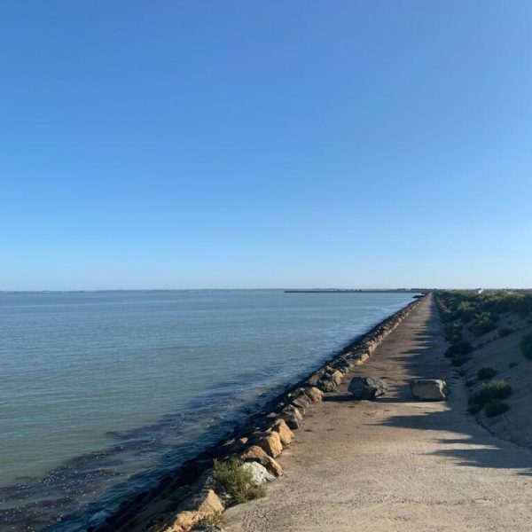 promenade-mer-plage-bouin